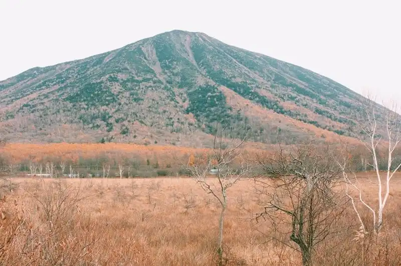 wanderlust-tips-hanh-trinh-du-hanh-nuoc-nhat-15-ngay-dep-nhu-mo-103