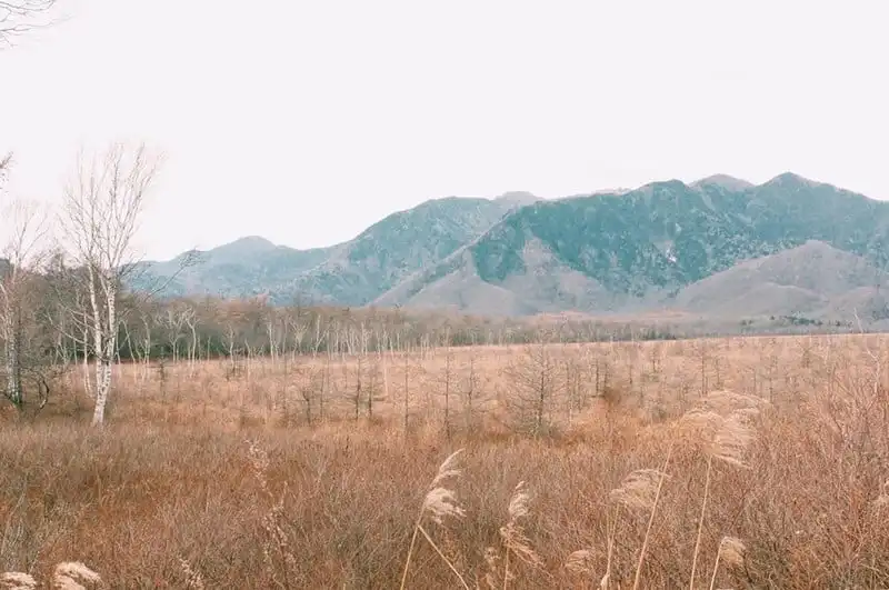 wanderlust-tips-hanh-trinh-du-hanh-nuoc-nhat-15-ngay-dep-nhu-mo-107