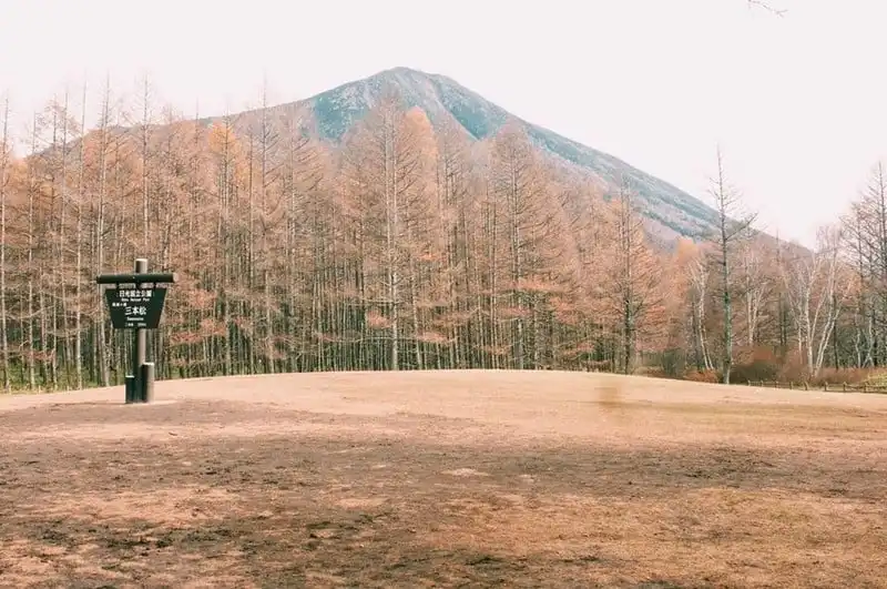 wanderlust-tips-hanh-trinh-du-hanh-nuoc-nhat-15-ngay-dep-nhu-mo-109