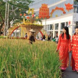 wanderlust tips hoi choi hoa xuan phu my hung tet dinh dau 2017 1