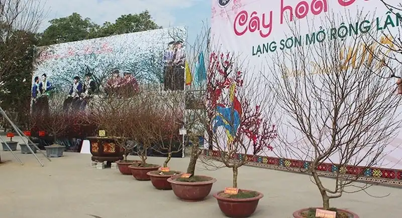 wanderlust-tips-lan-dau-tien-le-hoi-hoa-dao-o-lang-son-2