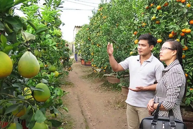 wanderlust-tips-lang-hoa-ven-thu-do-nhon-nhip-dip-giap-tet-5