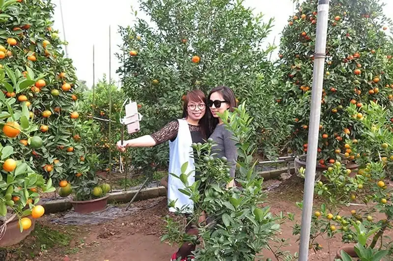 wanderlust-tips-lang-hoa-ven-thu-do-nhon-nhip-dip-giap-tet-7