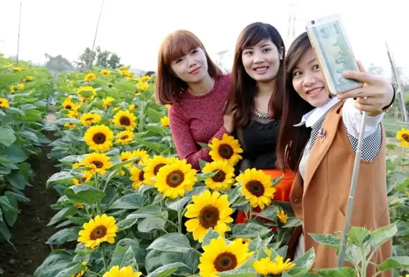 wanderlust-tips-nhon-nhip-lang-hoa-tet-hai-phong-9