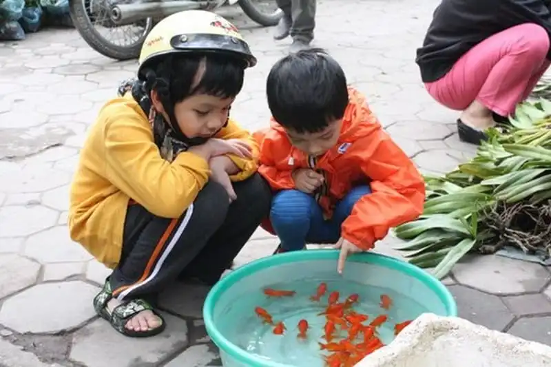Sự khác biệt trong tục cúng ông Táo ở Việt Nam và Trung Quốc 7 wanderlust-tips-su-khac-biet-trong-tuc-cung-ong-tao-o-viet-nam-va-trung-quoc-3