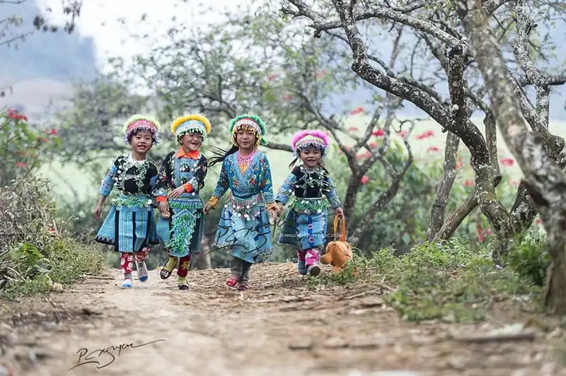 wanderlust-tips-toi-moc-chau-thang-12-am-lich-de-don-tet-cung-nguoi-hmong-1
