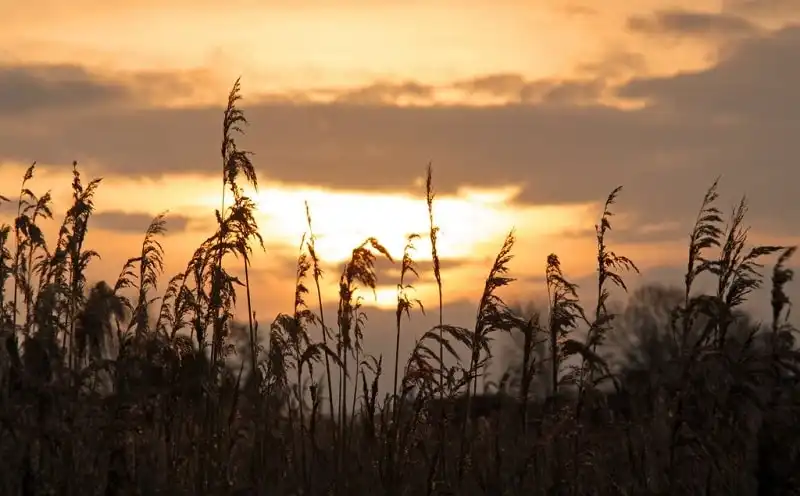 10 hòn đảo bí ẩn nhất thế giới 8 wanderlust_tips_13_hon_dao_bi_an_nhat_the_gioi_4