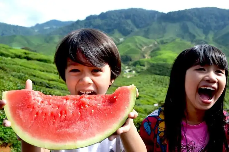 Thú vị bộ ảnh dưa hấu ở khắp nơi trên thế giới 14 wanderlust_tips_bo_anh_dua_hau_10