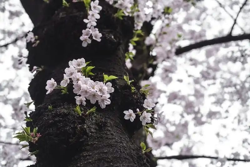 wanderlust_tips_du_lich_the_gioi_suot_18_thang_6