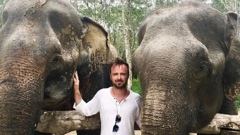 wanderlust_tips_khu-bao-ton-cho-nhung-chu-voi-gia-yeu-o-Phukhet-1