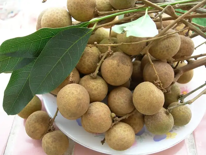 wanderlust_tips_kinh_nghiem_du_lich_hung_yen_6