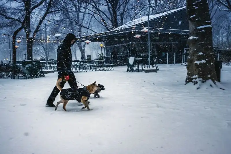 New York mùa tuyết rơi 10 wanderlust_tips_new_york_mua_tuyet_roi_6