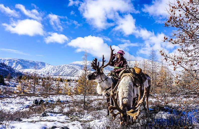 4wanderlust tips hanh trinh den voi tsaatan 4