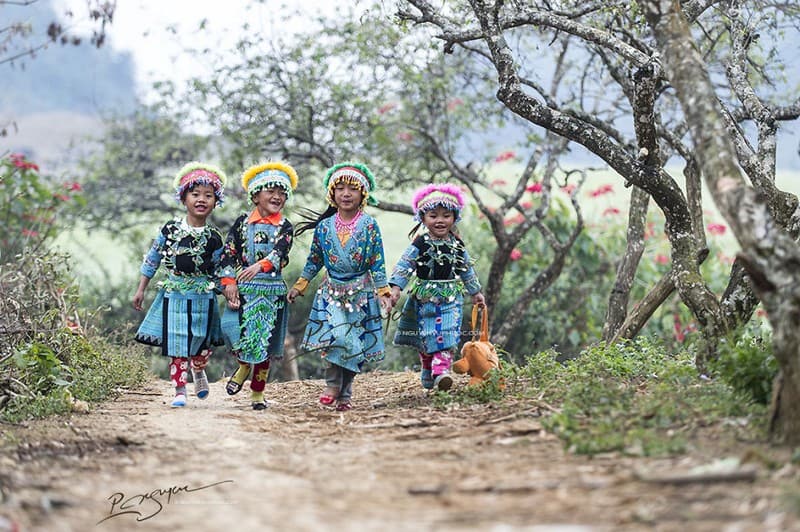 wanderlust tips toi moc chau thang 12 am lich de don tet cung nguoi hmong 1