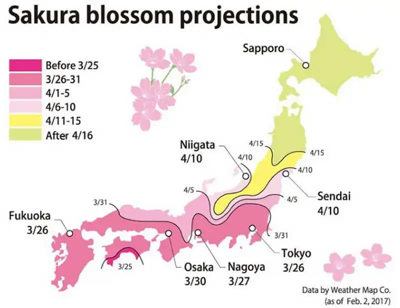 Wanderlust_tips_Kawazu-ruc-ro-sac-hoa-anh-dao-no-som-11