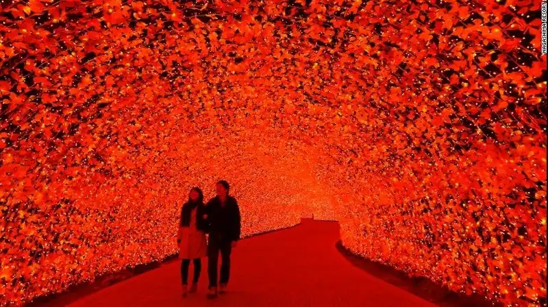 wanderlust-tips-8-trieu-bong-den-led-ruc-ro-trong-le-hoi-anh-sang-o-nhat-1