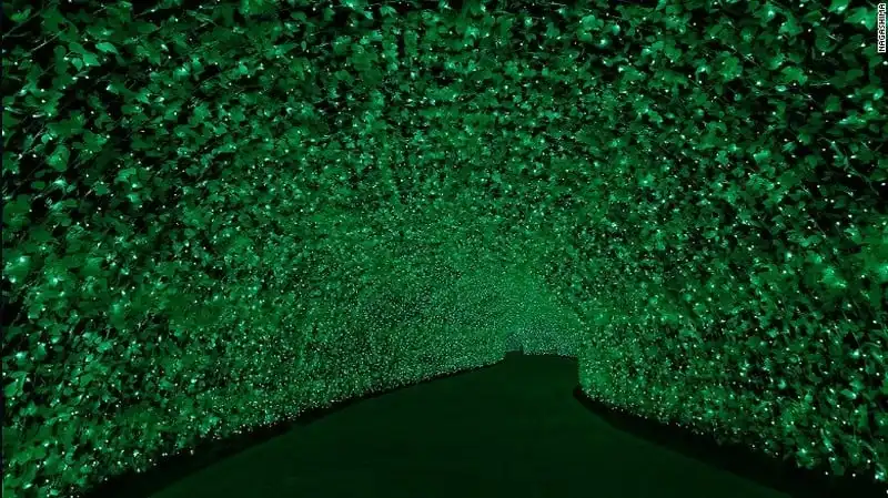 wanderlust-tips-8-trieu-bong-den-led-ruc-ro-trong-le-hoi-anh-sang-o-nhat-5