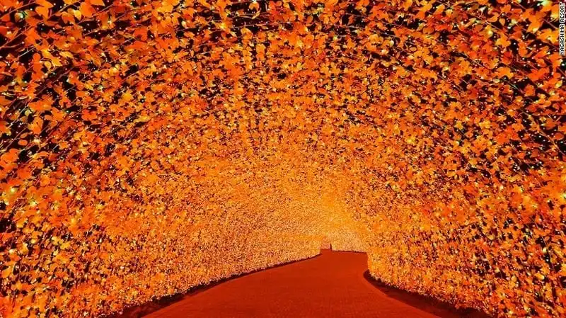 wanderlust-tips-8-trieu-bong-den-led-ruc-ro-trong-le-hoi-anh-sang-o-nhat-6