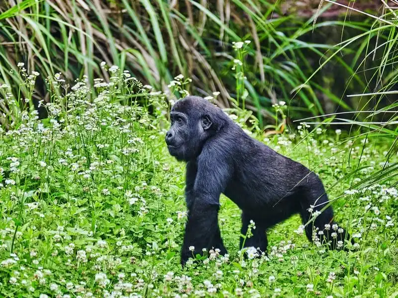 wanderlust-tips-cac-cap-doi-phai-den-35-diem-nay-mot-lan-trong-doi-20