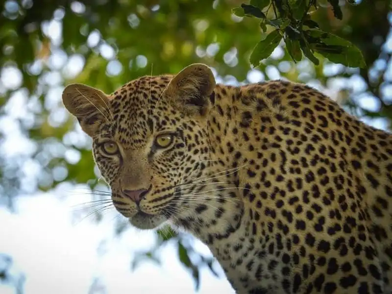 wanderlust-tips-cap-doi-bo-viec-de-cung-toi-nhung-noi-lang-man-nhat-the-gioi-16