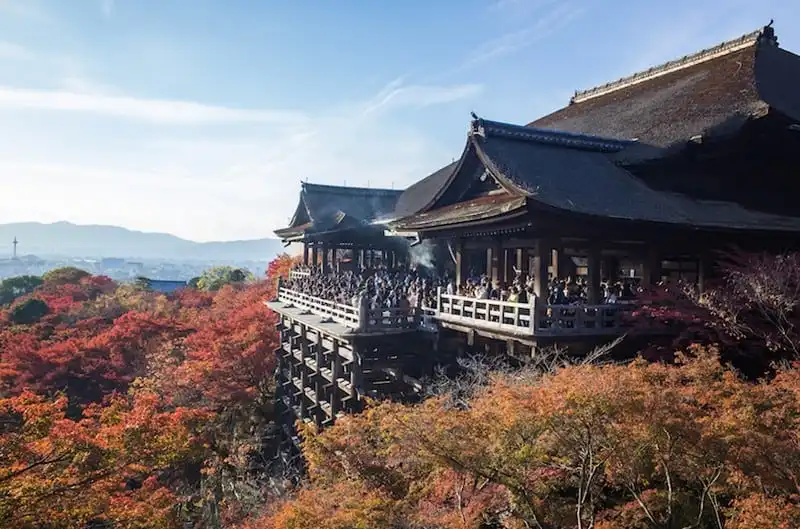Kyoto,Japan,November 23,2014 : Many people stand at view point of Kiyomizu-dera to see red leaf trees,One of famous landmark in Kyoto,Japan