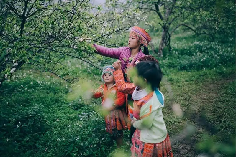 wanderlust-tips-moc-chau-mua-man-no-trang-doi-10