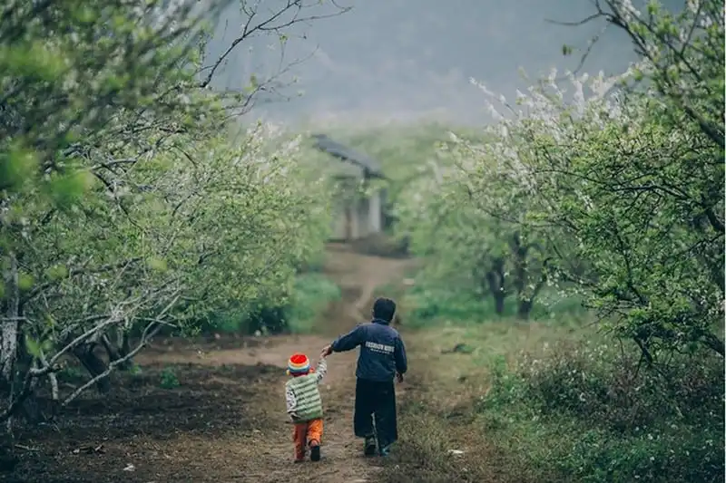 wanderlust-tips-moc-chau-mua-man-no-trang-doi-6