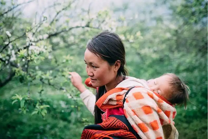 wanderlust-tips-moc-chau-mua-man-no-trang-doi-9