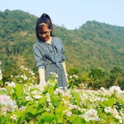 wanderlust tips ngo ngang vuon hoa tam giac mach o ninh binh 1