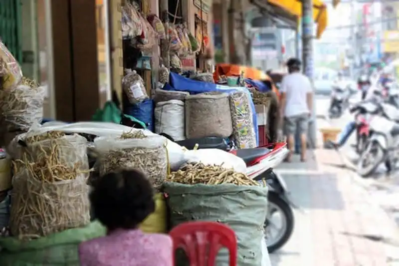 wanderlust-tips-pho-dong-y-tp-hcm-tro-thanh-diem-du-lich-hap-dan-1