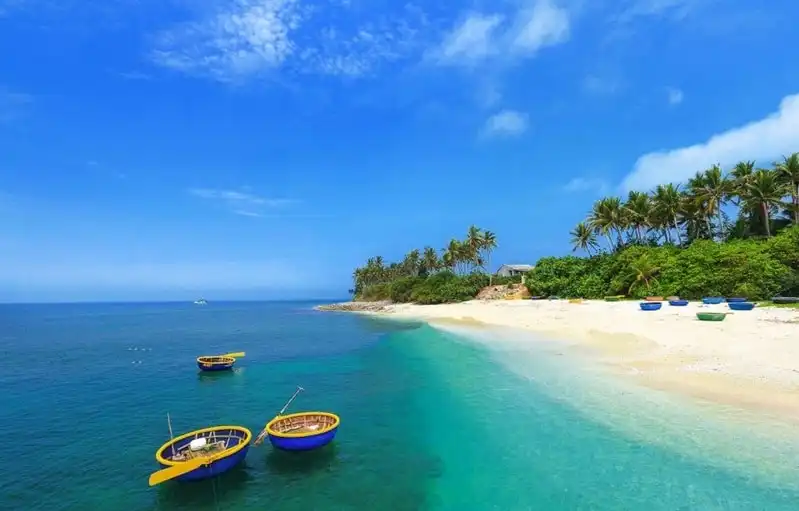 Sắp có tàu siêu tốc ra đảo Lý Sơn chỉ 25 phút 5 wanderlust-tips-sap-co-tau-sieu-toc-ra-dao-ly-son-chi-25-phut-2