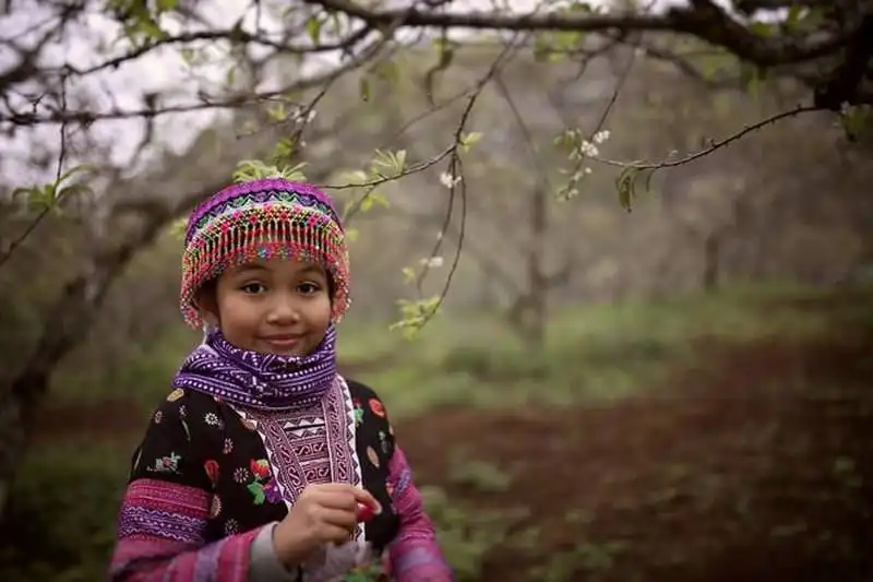 wanderlust-tips-say-long-hoa-man-trang-tinh-khoi-giua-nui-rung-moc-chau-10