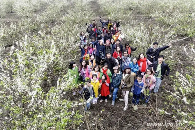 wanderlust-tips-say-long-hoa-man-trang-tinh-khoi-giua-nui-rung-moc-chau-11