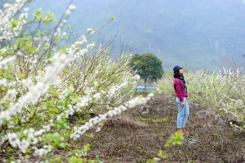 wanderlust-tips-say-long-hoa-man-trang-tinh-khoi-giua-nui-rung-moc-chau-12