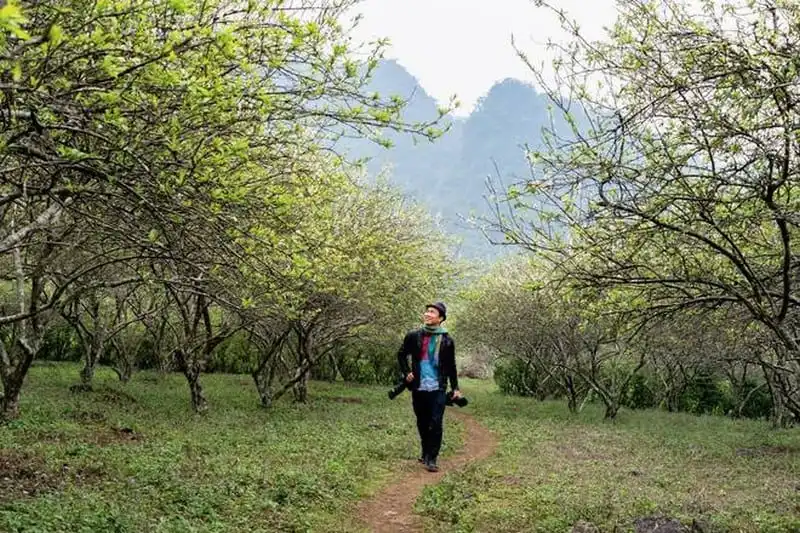 wanderlust-tips-say-long-hoa-man-trang-tinh-khoi-giua-nui-rung-moc-chau-13