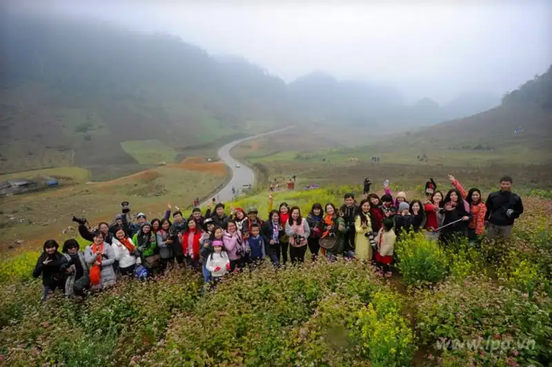 wanderlust-tips-say-long-hoa-man-trang-tinh-khoi-giua-nui-rung-moc-chau-15