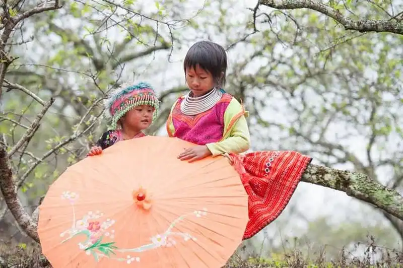 wanderlust-tips-say-long-hoa-man-trang-tinh-khoi-giua-nui-rung-moc-chau-5