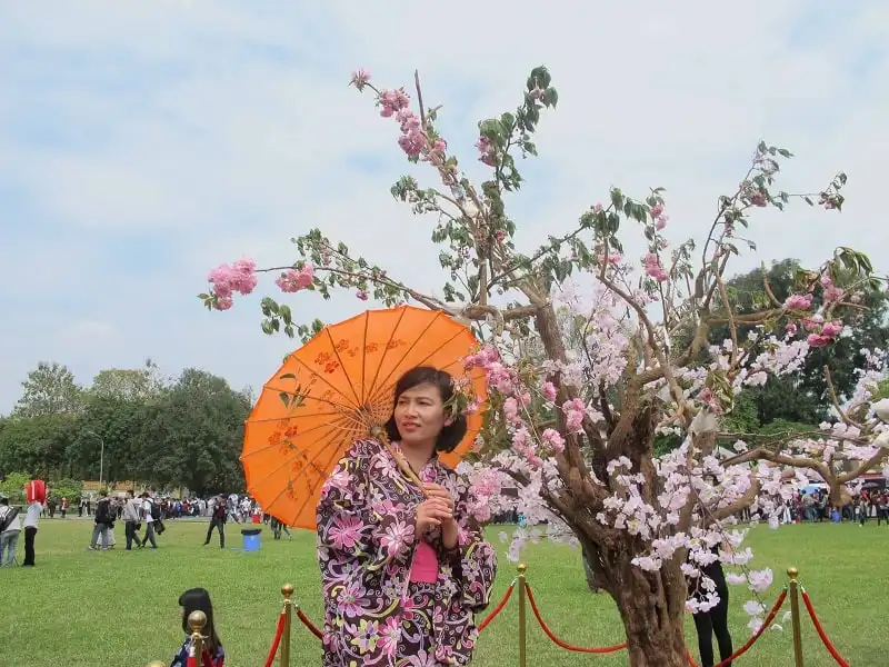 wanderlust_tips_Hoa-anh-dao-ruc-ro-thang-3-Hanoi-1