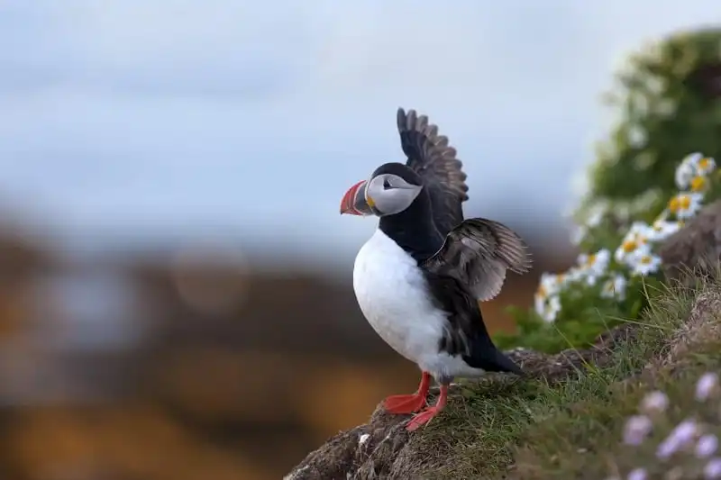 Điểm đến mùa hè ở Iceland đẹp như trong truyền thuyết 8 wanderlust_tips_diem-den-mua-he-ly-tuong-o-Iceland-4