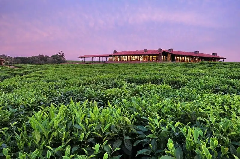 Kinh nghiệm du lịch Rwanda - xứ sở nghìn đồi 14 wanderlust_tips_kinh-nghiem-du-lich-Rwanda-00