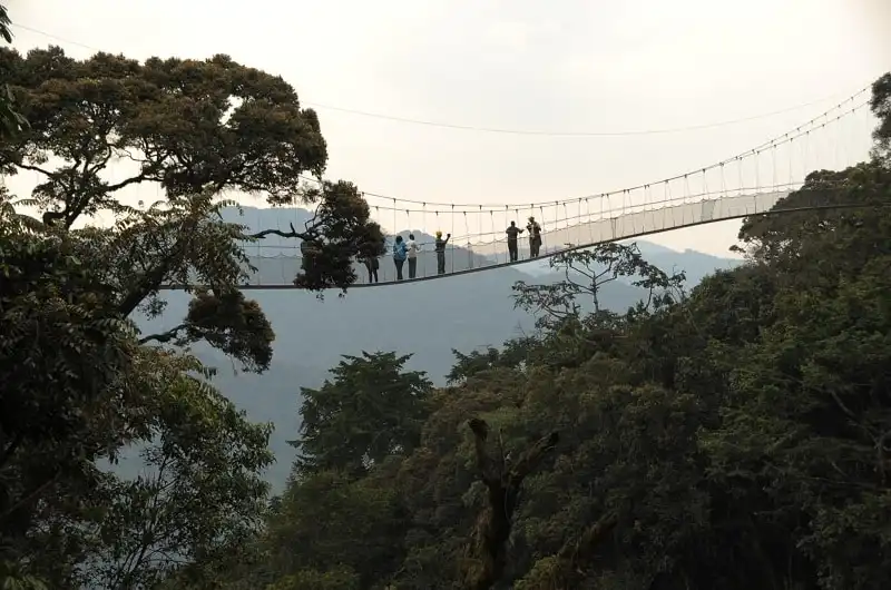 Kinh nghiệm du lịch Rwanda - xứ sở nghìn đồi 13 wanderlust_tips_kinh-nghiem-du-lich-Rwanda-3