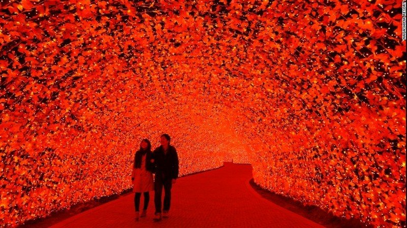 8 triệu bóng đèn LED rực rỡ trong Lễ hội ánh sáng ở Nhật