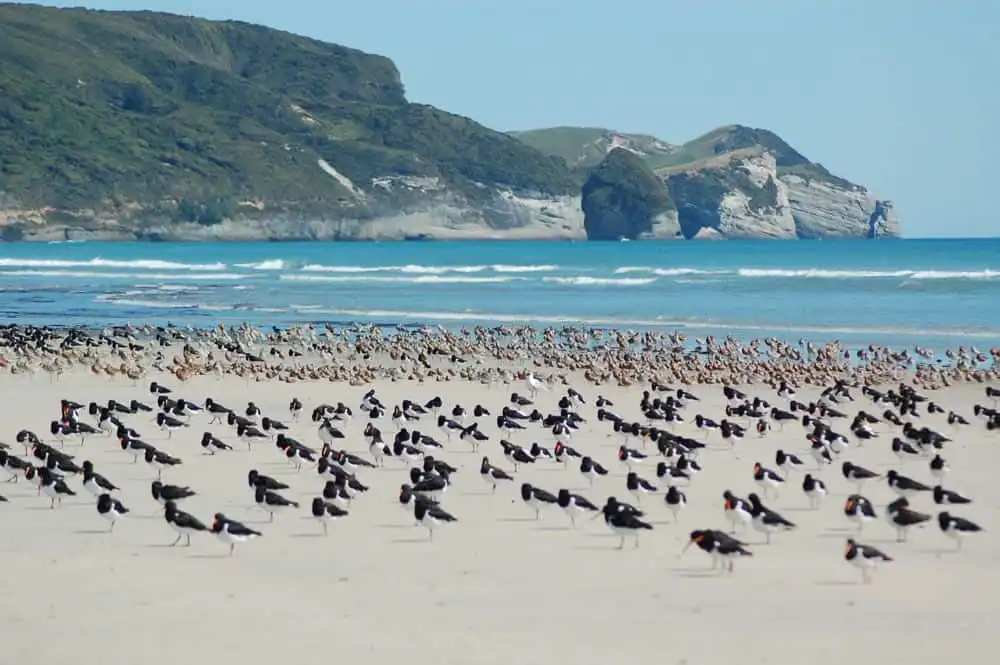 Top 10 bãi biển hẻo lánh đẹp nhất thế giới 7 3