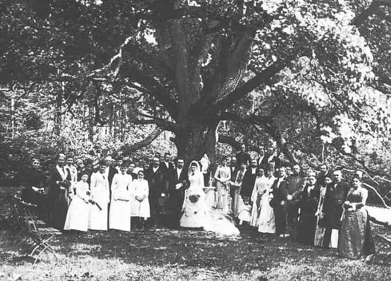 Bridegroom's Oak - Cây sồi "mai mối" nổi tiếng ở Đức 6 Wanderlust-thu-tinh-gui-den-cay-soi-bridegroom-oak-6