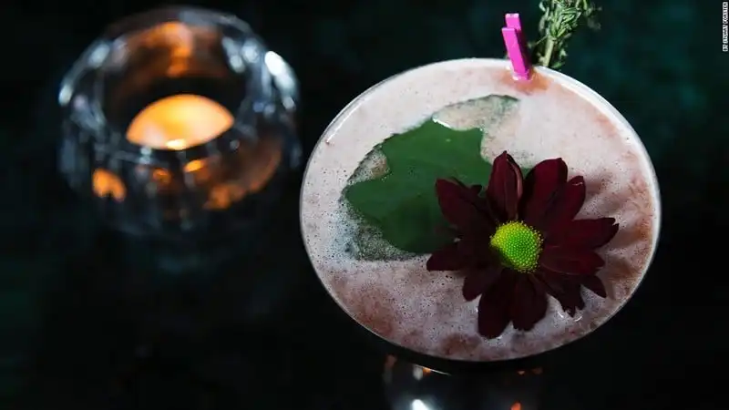 13 lý do khiến bạn muốn đến Rotterdam ngay tức khắc 8 Wanderlust-tips-13-ly-do-khien-ban-muon-den-Rotterdam-ngay-tuc-thi-14