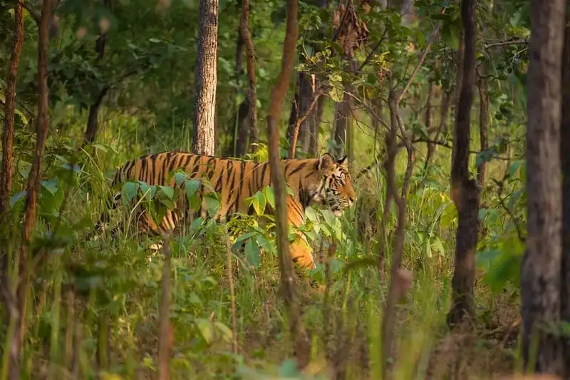 Wanderlust_Tips_tim-den-voi-thien-nhien-trong-thang-3-nay-3