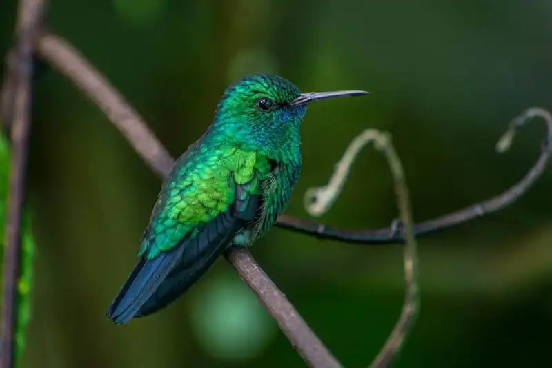 Wanderlust_Tips_tim-den-voi-thien-nhien-trong-thang-3-nay-4