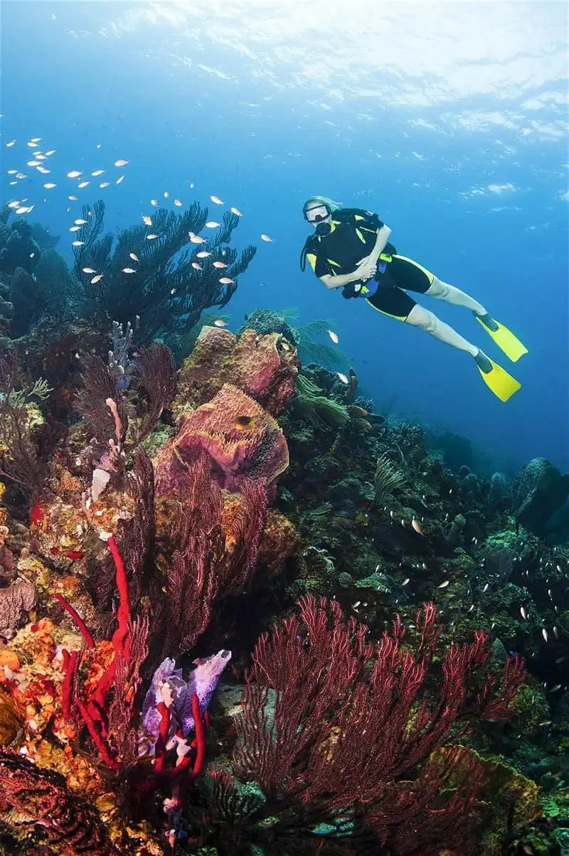 Wanderlust_Tips_top-6-trai-nghiem-tuyet-voi-tren-quoc-dao-saint-lucia-3