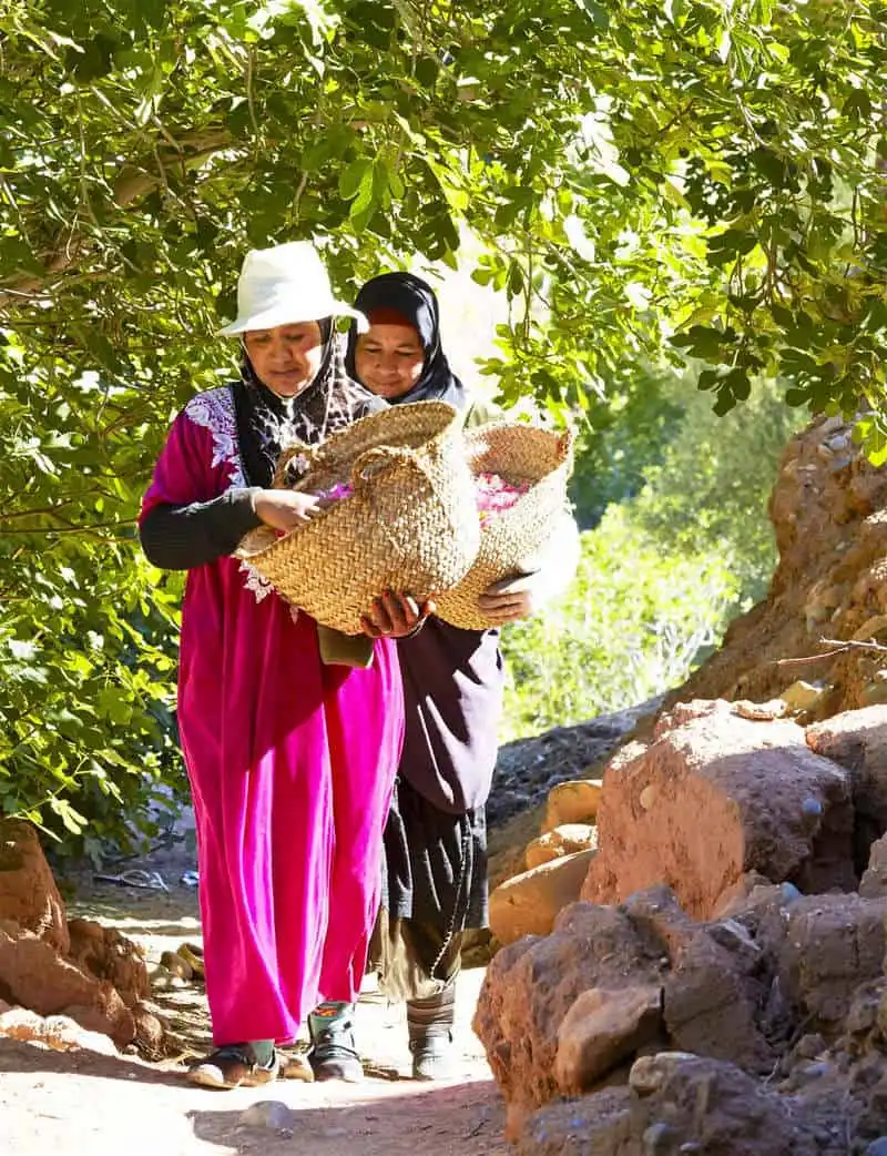 Trót yêu những đóa hồng damascena vùng Hdida, Maroc 6 Wanderlust_tips_thung-lung-hoa-hong-kham-pha-le-hoi-hoa-hong-cua-morocco-10