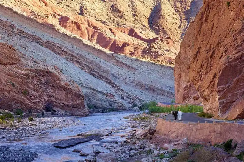 Trót yêu những đóa hồng damascena vùng Hdida, Maroc 8 Wanderlust_tips_thung-lung-hoa-hong-kham-pha-le-hoi-hoa-hong-cua-morocco-4